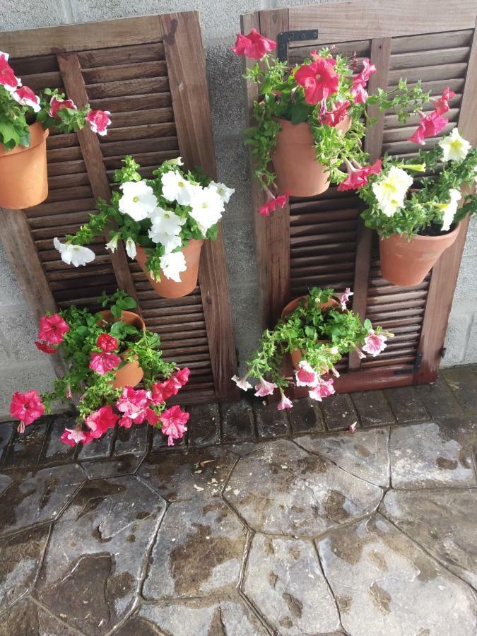 La Orquídea Morada Vila Conil De La Frontera Exterior foto